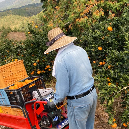 青緑ジャイアント【二枚目おまけつき】　おやつHM横入れ　ハイパーマット青 楽天市場】【最大2000円OFFクーポン＆P5倍！2/4 20時〜】麻雀マット