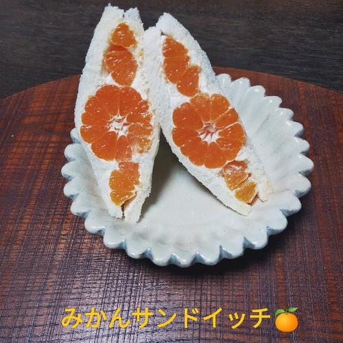 浅美さんの周防大島みかん ｜ 果物/温州みかん 産直アウル 農家・漁師