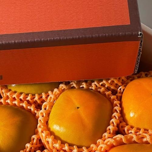 ぷちぷちレディー、はるみちゃん🍊🌟秀品Lサイズ以上10〜12玉入り