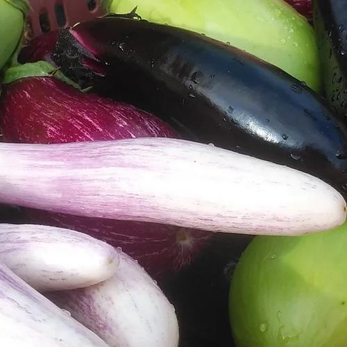 日本一辛い？！黄金唐辛子(乾燥)100本 ｜ 野菜/スパイス 産直アウル