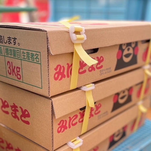 ミニトマト 9キロ 野菜 熊本産地直送 弁当 おかず トマト ミネラル