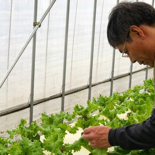 こころ農園（滋賀県・草津市）｜生産者詳細｜産直アウル