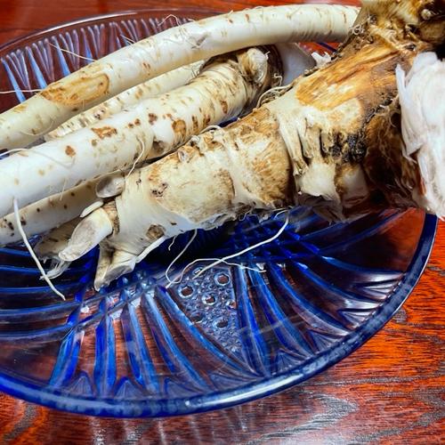 辛い 【雪下】 山わさび ワサビ ホースラディッシュ 薬味 長野県産