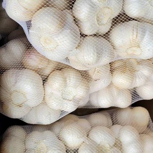 青森県産福地ホワイト6片 | 野菜/にんにく 産直アウル 農家から直接