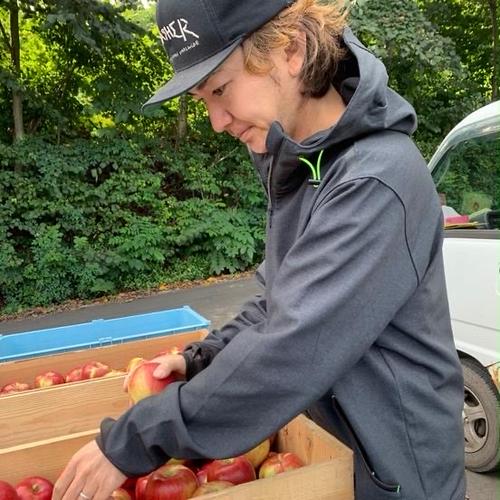 木村農園 謹製 サンふじ5kg(りんご約16個前後) | 果物/りんご 産直