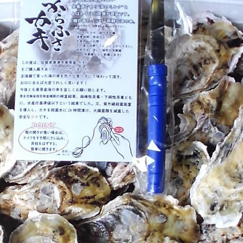 夏限定】夏と言えば✨岩牡蠣(2キロ箱)✨シーズン到来 ｜ 魚介類/牡蠣