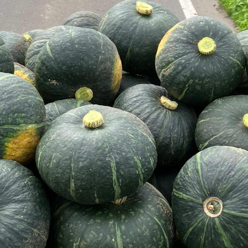 北海道産！ほっくほくかぼちゃ | 野菜/かぼちゃ 産直アウル 農家から