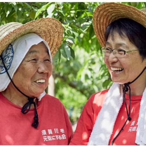 新芋】シルクスイート S～Lサイズ 混合10kg しっとり滑らかな食感の