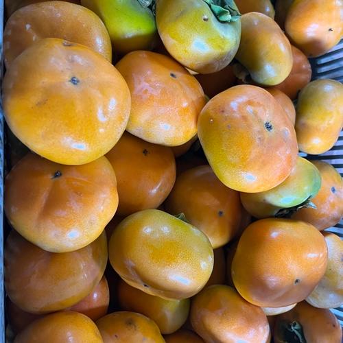 ⭐︎収穫最終期⭐︎【送料500円割引】富有柿5kg 💎和歌山・橋本産の