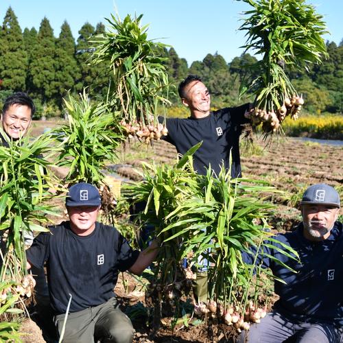 秋の贅沢にさつまいも！香り豊かな「すずほっくり」数量限定販売 10kg