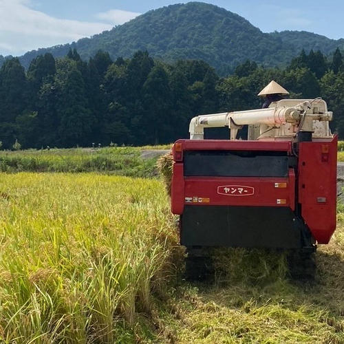 新米【令和8年産】新潟県産つきあかり 玄米10kg｜ふっくら大粒のお米
