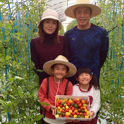 サザキ農園の『プラム型ミニトマト』ミックスセット3kg ｜ 野菜/トマト
