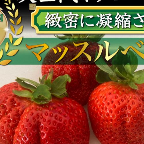 糖度15度オーバー】一万人が虜になった究極の匠の叡智『八女津姫