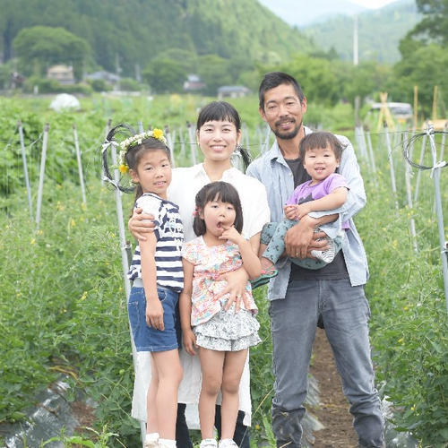 ⭐️本物のオーガニック⭐️【有機JAS認証京海老芋2㌔】 ｜ 野菜