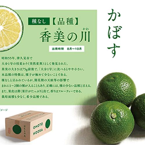 ◇大分県宇佐市産 種無しかぼす 【お徳用・訳アリ品】仕様 4kg入【送料