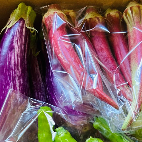 生にんにく 最上赤にんにく 最上伝承野菜 ｜ 野菜/にんにく 産直アウル