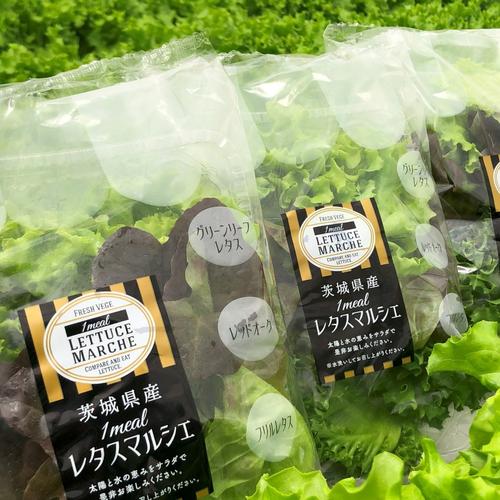 グリーンリーフレタス2㎏ | 野菜/レタス 産直アウル 農家から直接野菜