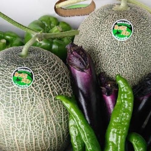 じゃがいも2品種約10kg【L〜2Lサイズ】 | 野菜/じゃがいも 産直アウル