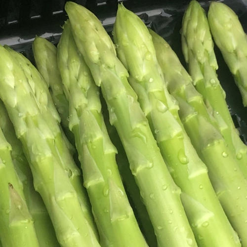 さぬきのめざめ （アスパラガス） 【Lサイズ】 1kg ｜ 野菜