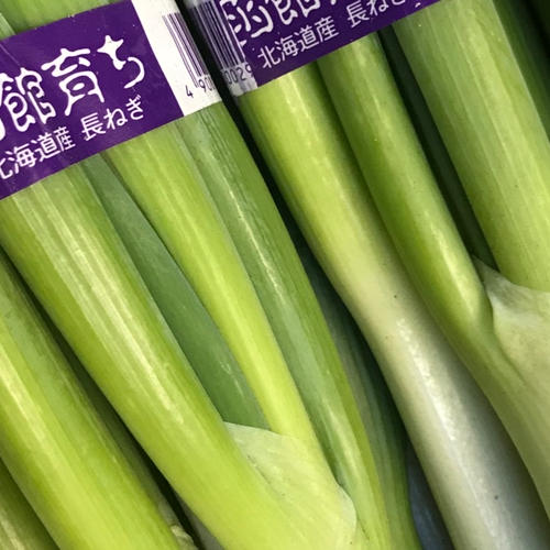 長ネギ2kg | 野菜/ねぎ 産直アウル 農家から直接野菜などの食材を購入