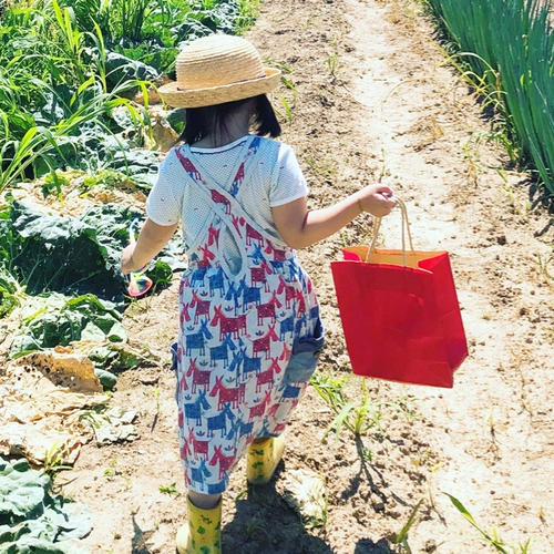 令和7年産北海道ななつぼし10kg✖️2袋 ｜ 米・穀物/米/精米 産直