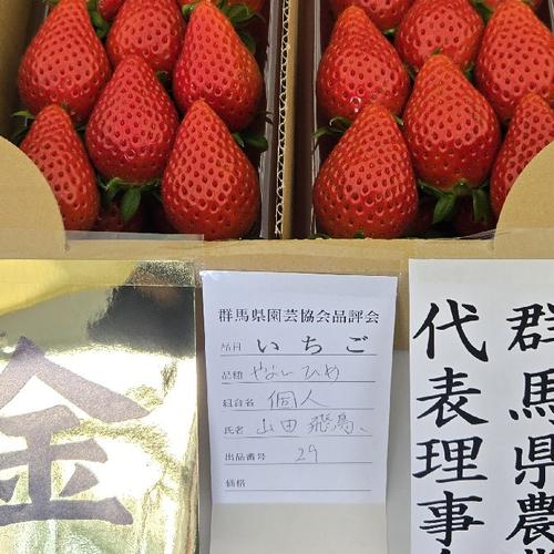 超特大サイズいちご 拳と同じくらい大きいいちご 甘くて味の濃い