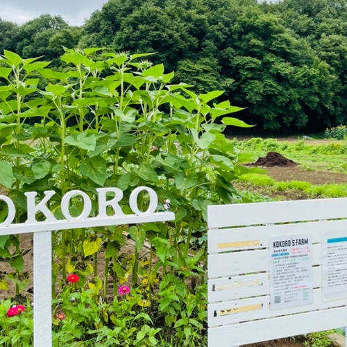 kokoro's farmの