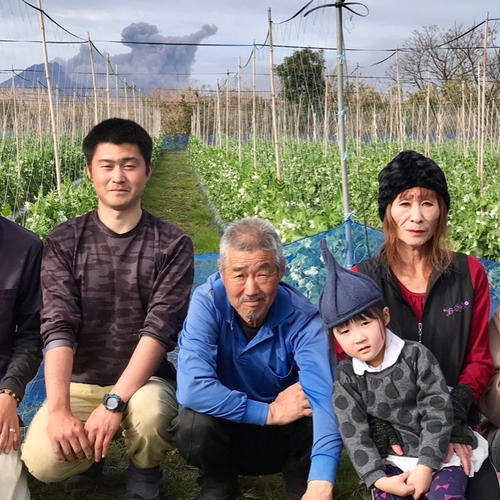 ファミリー農美家畑産地直送便（鹿児島県・垂水市）｜生産者詳細｜産直