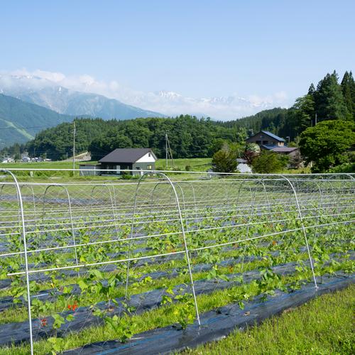 予約販売】【令和6年産 新米】【特別栽培米】ゆめしなの(2kg) 9月10