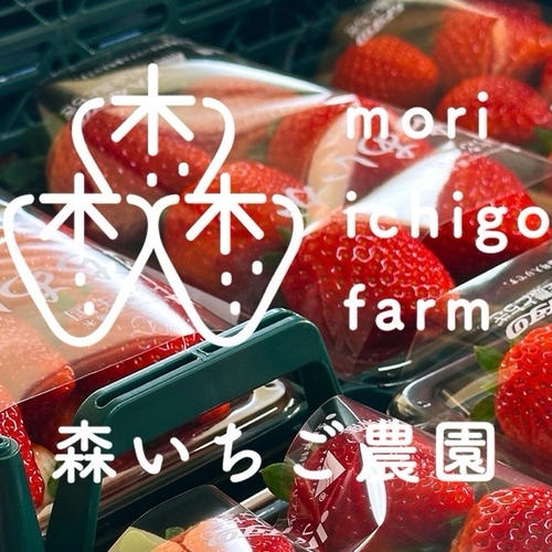 森いちご農園とちあいか -栃木県産- ｜ 果物/いちご 産直アウル 農家