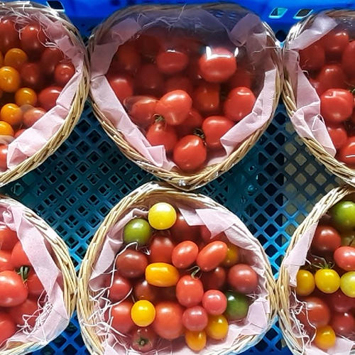 カラフルサラダ用根菜セット ｜ 野菜/野菜セット・詰め合わせ 産直