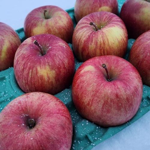 やっちゃん・青森県弘前産りんごとジュース ２箱 りんごジュース – RED APPLE