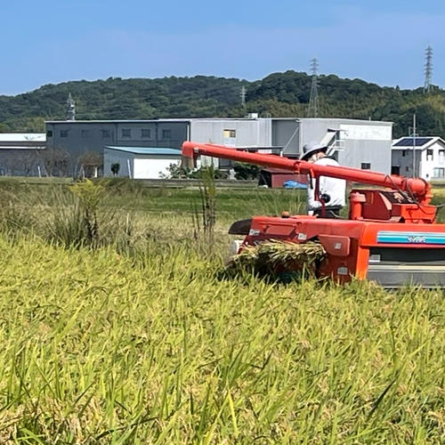 にこまる 令和7年 新米🌾 和歌山県産 ｜ 米・穀物/米/精米 産直アウル