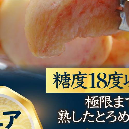 夢のように瑞々しい夢みずき】自分好みの桃探し本場山梨桃の品種指定