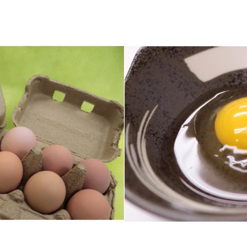 平飼い名古屋コーチン【王様のたまご】6個入り×4p | 卵/鶏卵 産直