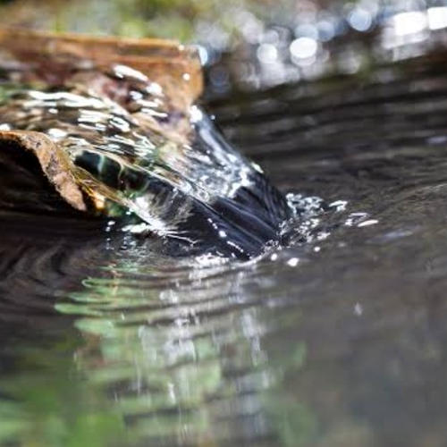 ブラックジャック(種無)L ｜ 果物/スイカ 産直アウル 農家・漁師など