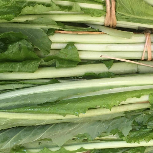 ねずみ大根(辛味大根)おろし・漬物専用 伝統野菜 | 野菜/大根 産直