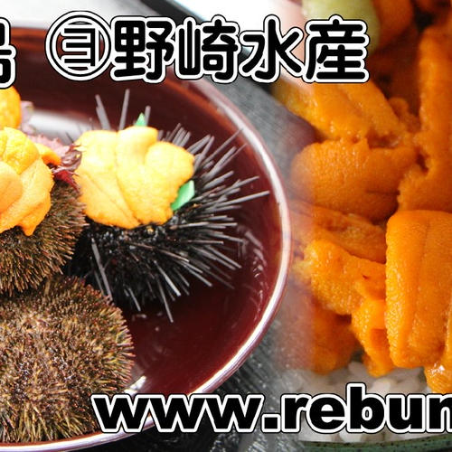 利尻・礼文島産 冷凍 天然エゾアワビ500g入(7～10個前後) 【送料無料