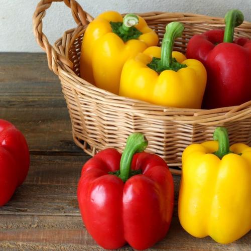 完熟パプリカ「和ぷりか」1kg(小ぶり多いです) | 野菜/パプリカ 産直