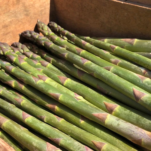 北海道産訳ありゆり根2㎏ | 野菜/その他野菜 産直アウル 農家から直接