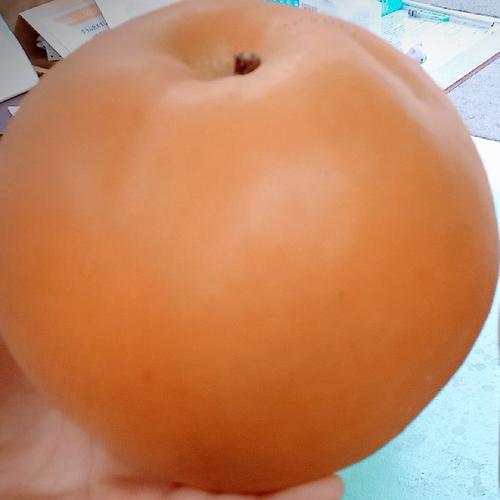 新高梨 約3㎏ 3～4玉入り | 果物/梨 産直アウル 農家から直接野菜など