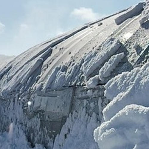 シドケ 2キロ 新鮮 しどけ 2kg 雪国の香り！瑞々しい山菜の女王（シドケ/モミジガサ