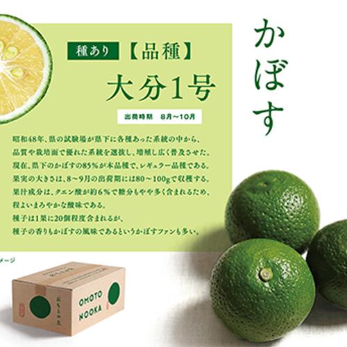 大分県宇佐市産 柚子（ユズ）【お徳用】約10kg 【送料込】 | 果物/香酸