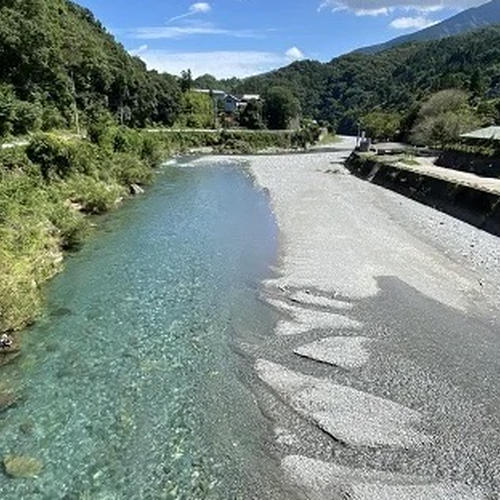 徳島県産 ちりめん赤紫蘇 3kg太い枝なし葉っぱのみ ちりめん赤紫蘇 太い枝なし葉っぱのみ ｜ 野菜/その他野菜 産直アウル