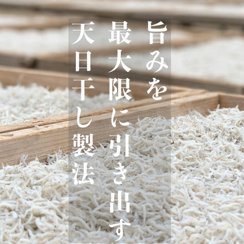 最上級☆無添加☆綱元漁師の天日シラス☆(特大)【産直ギフト】 | 魚介