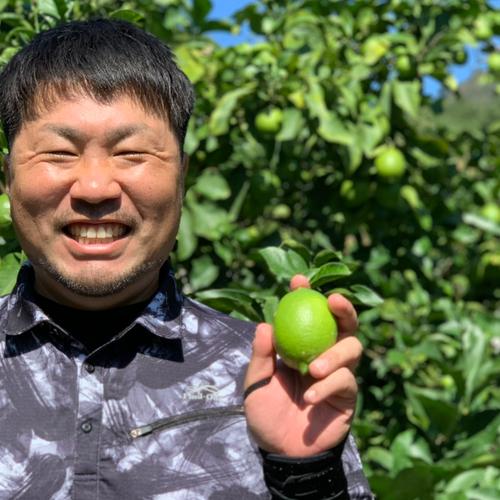 送料込み】瀬戸内の恵み！ 瀬戸田レモン 5kg | 果物/香酸柑橘(ライム