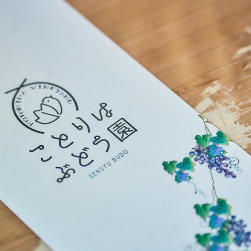 家庭用】紅色シャイン品種の大粒ぶどう バイオレットキング800g2~3房