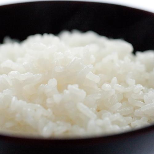 令和8年産 多古米 玄米 10kg 幻の米 多古町 東佐野産 ｜ 米・穀物/玄米
