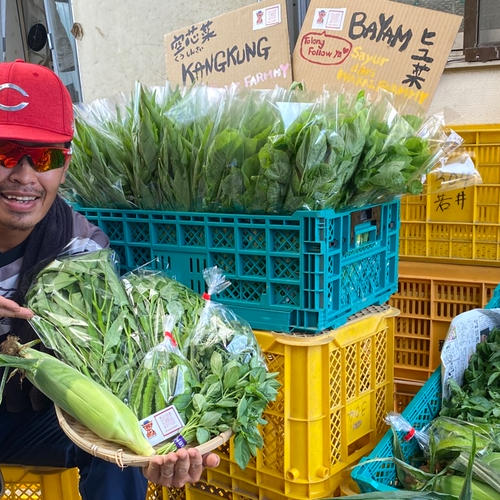 ワカイファーミーのキャッサバ芋😋🇮🇩 | 野菜/その他野菜 産直アウル