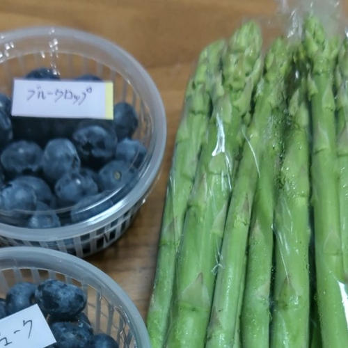 アスパラ ガス（夏秋採り）長野県須坂産 ｜ 野菜/アスパラガス 産直